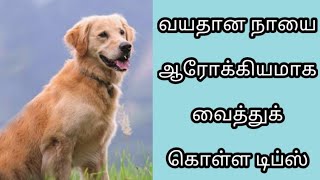 வயதான நாயை ஆரோக்கியமாக வைத்துக் கொள்ள டிப்ஸ் | Tamil