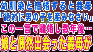 【スカッとする話】幼馴染と結婚するも嫁いびりが大好きな義母の一言で離婚。数年後、子供と一緒に偶然出会った義母は…