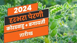 | हरभरा लागवड 2024 | #हरभरा #हरबरा #पेरणी #लागवड @गावाकडचाशेतकरी #शेतकरी