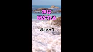 神はあなたの祈りを聞いておられる！一発であなたを元気にする！聖書の言葉シリーズ【105】#Shorts #聖書 #元気 #希望