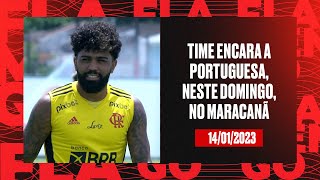 Vitor Pereira comanda último treino do Flamengo antes da estreia