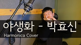 박효신(Park Hyo Shin) - 야생화(Wild Flower) 하모니카 Cover