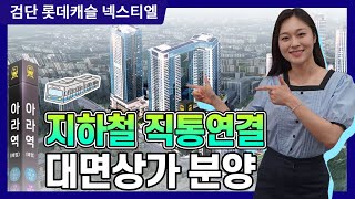 검단 롯데캐슬 넥스티엘 지하철역 탄탄한 유동인구 확보 상가