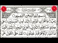 Surah Yasin Beautiful Recitation By Tialawat Quran TV | Surah Yaseen