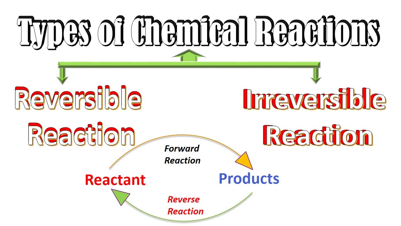 Reversible Reaction