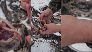 太猛了！60岁苏联老兵在雪地里“手撕大鹅”，掏空腹部路人惊呆了