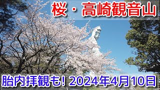 【桜・高崎観音山】胎内見学も!  2024年4月10日