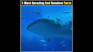 99% लोगों को ये पता नहीं होगा | 5 Most Amazing Facts | Facts About World | Facts | #shorts