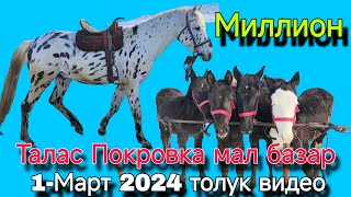 Мал базар Талас Покровка 1-Март 2024