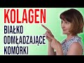 🍀KOLAGEN - białko ODMŁADZAJĄCE. Jaki rodzaj stosować?🍀