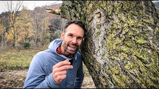 Wie du heute noch rauskommst mit Mikroabenteuer Ideen / Christo Foerster x AOK Baden-Württemberg