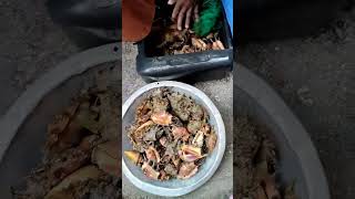 ASSORTED SEA SHELLS AND SEAWEEDS (DALUPIRI ISLAND) @Donaldbasnig-fg3bx