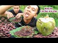 MAKAN CACING TANAH HIDUP DAN SEGAR + KELAPA MUDA