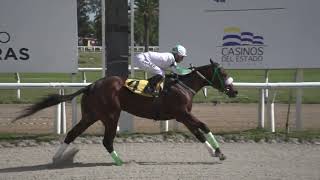 241012 c03 - TWISTER - HIPODROMO LAS PIEDRAS