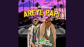 The Lowkeys - Areye Papi feat. Jelly Babie, Tshego Dee, Tskay De Musiq \u0026 Ocean Biller