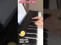 maple leaf rag 초등교사 피아노 연주 재즈