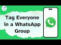 How to Tag Everyone in WhatsApp Group