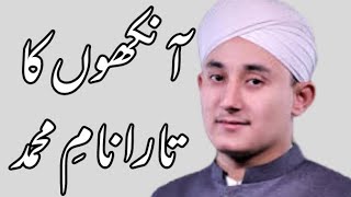 Hafiz Abdul Basit Hassani Naqshbandi | Hazrat Maulana Peer Zulfiqar Ahmad Naqshbandi