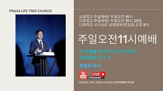 프라하생명나무교회  2021년 3월 21일 주일예배 LIVE