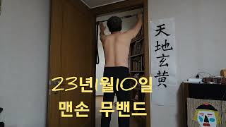 (안스장) 턱걸이 100날후 근성장 차이는!  懸垂100日後の筋成長の差は..、 Art Pull-ups..