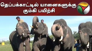 தெப்பக்காட்டில் யானைகளுக்கு கும்கி பயிற்சி | #Elephants #Kumki