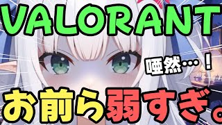 【VALORANT】１００万円のＰＣで遊ぶ・ヴァロラント【水色るみぃ／#vtuber】