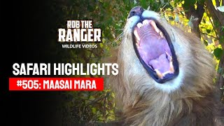 Safari Highlights #505: 05th October 2018 | Maasai Mara/Zebra Plains | Latest #Wildlife Sightings