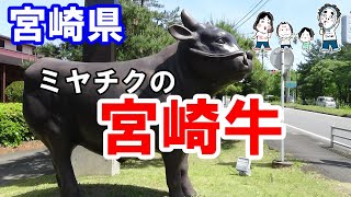 【九州】宮崎県宮崎市　ミヤチク【トッキ―二ひょう助の旅第132話】