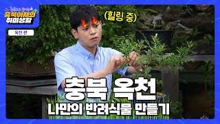 MZ를 사로잡은 반려식물!🌱 이왕 하는 김에 분재 장인 도전...? | 충북아재의 취미생활 EP.5 옥천 편