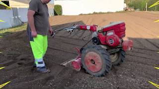 Labour, Fraisage, Plantation pommes de terre 2020 | Honda F-600 et F-800 [HD]