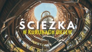 Ścieżka w koronach drzew w szerokim kadrze I Karkonosze I Czechy