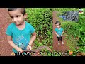 malayalam birthday song🥞 a dedication to adil mon rainbow videos