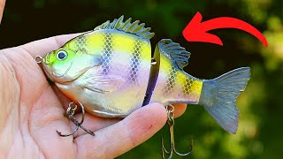5 EASY Steps To Catch Your PB (Bass Fishing Tips)