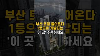 부산에 제일 먼저 트램이 들어올 곳은?'여기'가 투자유망지역!