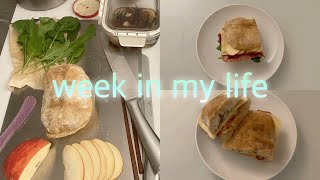 집구석 기록 | week in my life 자취일기 (덴마크 빵 Bolle 샌드위치, 순두부 초코무스, 포테이토 샐러드)