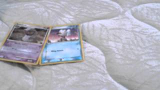 Total Pokemon Island Episode 28 rely on relay Total Pokemon Island Episode 28 rely on relay