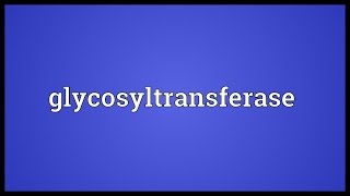 Glycosyltransferase Meaning