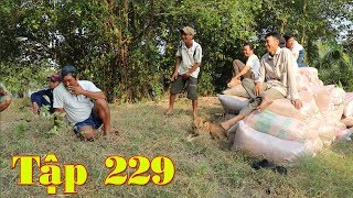 A Tăng Ăn Nhậu tập 229 | Mùa Lúa Bội Thu Của Nông Dân Miền Tây