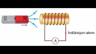 Maqnit Sahəsi, Maqnit İnduksiyası.#fizika #maqnitsahəsi