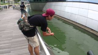 Trailer : Singapore Urban Fishing