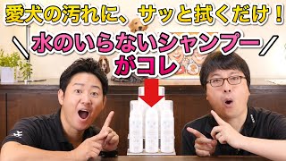 水のいらないシャンプー！？愛犬の汚れ落としに【簡単・便利なドライシャンプー】をペットショップ店長が解説します！