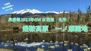 中部発クルマ旅　春の乗鞍高原＠水芭蕉名所　一ノ瀬園地　　@2023年水芭蕉見頃