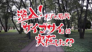 【学園祭グランプリ2017】東京外国語大学 府中キャンパス／第95回 外語祭