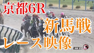 11/14 京都6R 新馬戦 レース映像