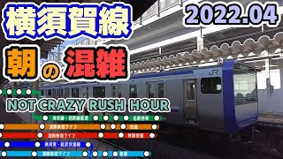 混雑がヤバくなくなった朝通勤ラッシュ時の横須賀線(武蔵小杉・西大井) Japan Not Crazy Rush Hour JR Yokosuka Line