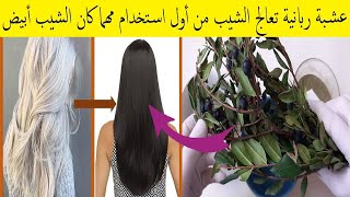 عشبة الآس🌿تطول شعرك الى الركبة وتقضي على الشيب نهائيا ولو كان الشعر كله ابيض👌والنتيجة من اول استعمال