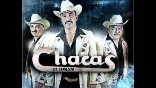 Chacas de Sinaloa - Ando Desesperado