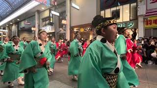 2024よさこい祭り 後夜祭 ａｕ