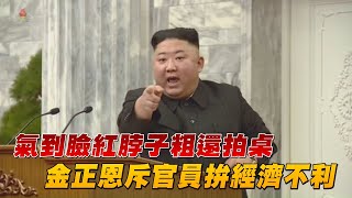 北韓金正恩斥官員拚經濟不利 氣到臉紅脖子粗還拍桌  | 台灣新聞 Taiwan 蘋果新聞網