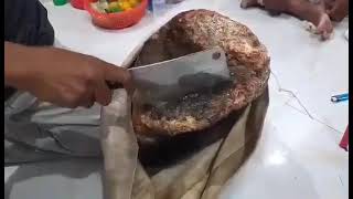 ពិសោធន៍ កម្អួតត្រីបាឡែន whale vomit testing 012901226.016901226